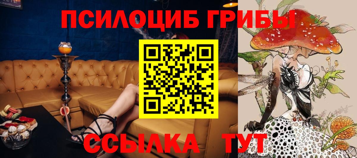 Галлюциногенные грибы MAGIC MUSHROOMS Ейск